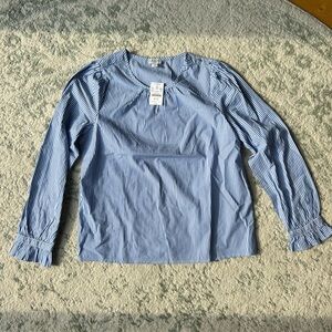 J. Crew Blue and White Striped Top